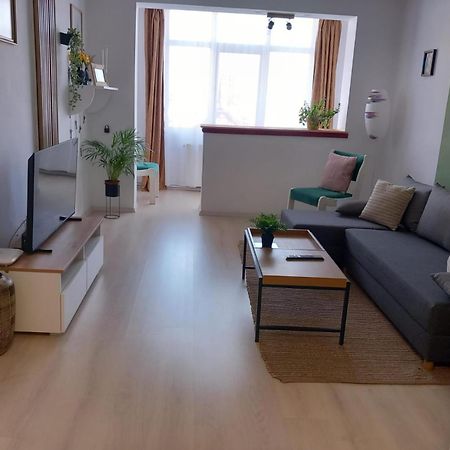 Nya Apartment Сігішоара Екстер'єр фото